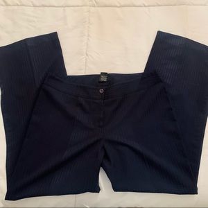 APNY Navy Blue Stripe Pants Size 9/10